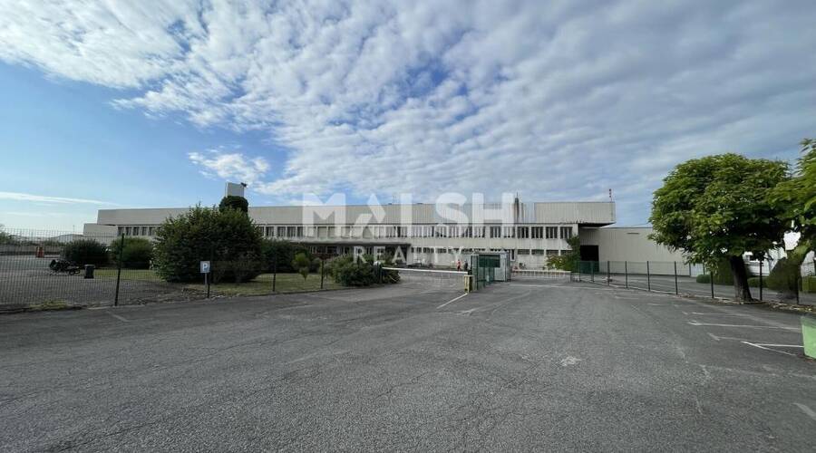 MALSH Realty & Property - Local d'activités - Lyon EST (St Priest /Mi Plaine/ A43 / Eurexpo) - Saint-Priest - 2