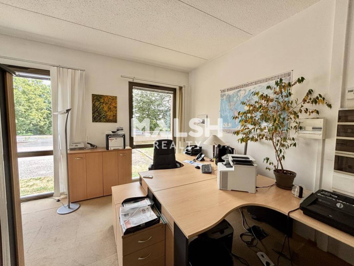 MALSH Realty & Property - Bureau - Lyon Nord Ouest (Techlid / Monts d'Or) - Écully - 2