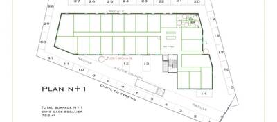 MALSH Realty & Property - Local d'activités - Plateau Nord / Val de Saône - Massieux - 8