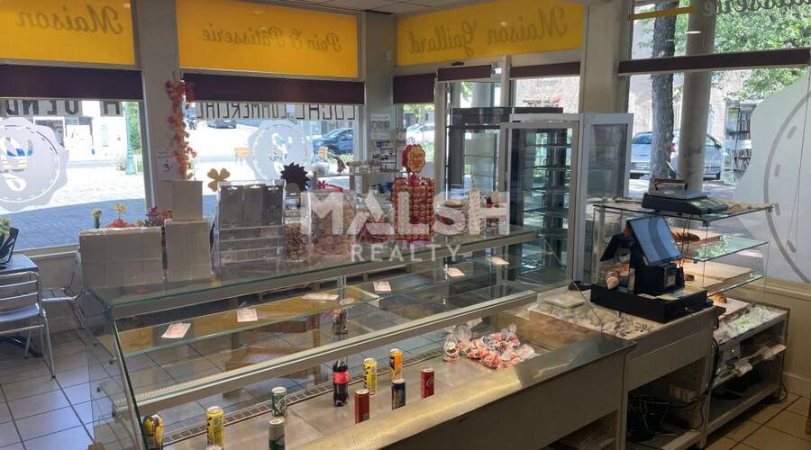 MALSH Realty & Property - Local commercial - Extérieurs SUD  (Vallée du Rhône) - Villette-de-Vienne - 3