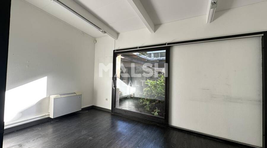 MALSH Realty & Property - Local d'activités - Plateau Nord / Val de Saône - Rillieux-la-Pape - 3