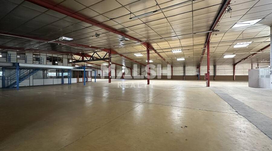 MALSH Realty & Property - Local d'activités - Plateau Nord / Val de Saône - Rillieux-la-Pape - 9