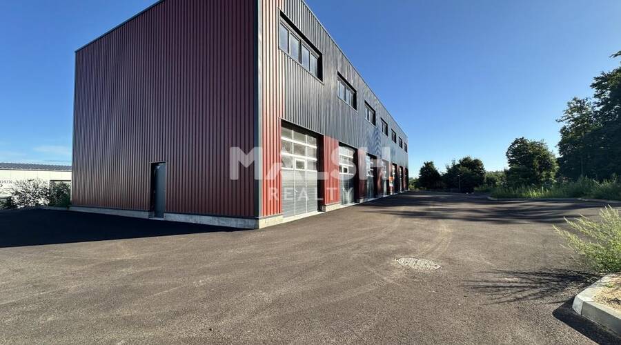 MALSH Realty & Property - Local d'activités - Extérieurs NORD (Villefranche / Belleville) - Montmerle-sur-Saône - 5