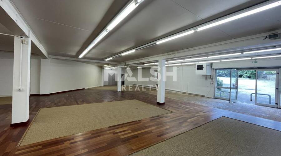 MALSH Realty & Property - Local commercial - Lyon Nord Ouest (Techlid / Monts d'Or) - Champagne-au-Mont-d'Or - 4