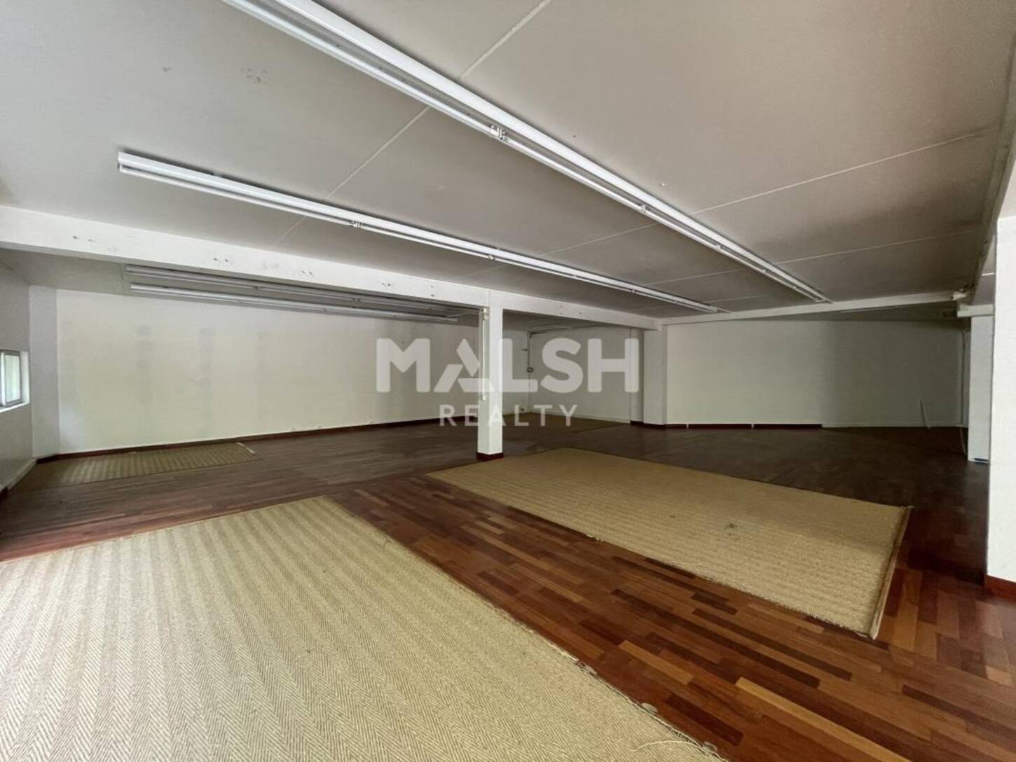 MALSH Realty & Property - Local commercial - Lyon Nord Ouest (Techlid / Monts d'Or) - Champagne-au-Mont-d'Or - 2