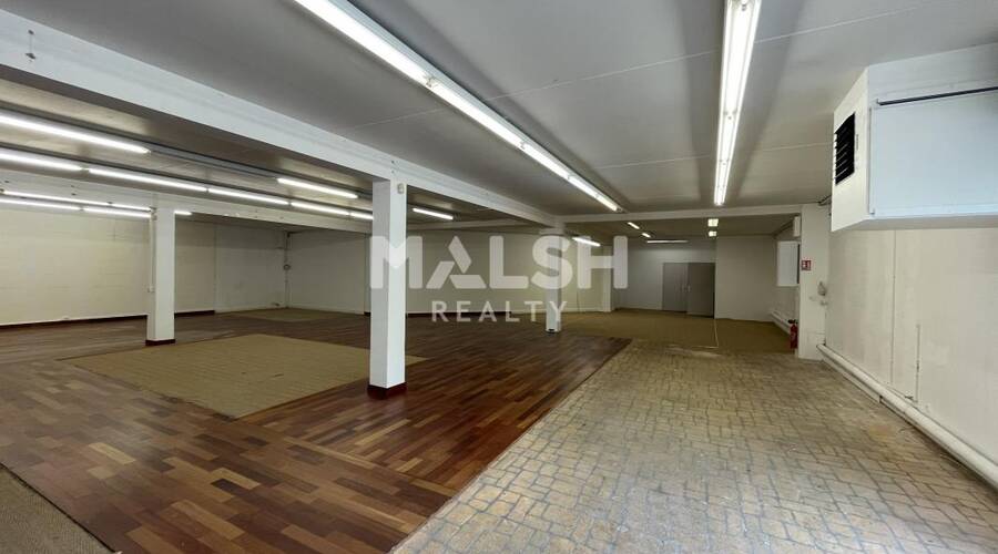 MALSH Realty & Property - Local commercial - Lyon Nord Ouest (Techlid / Monts d'Or) - Champagne-au-Mont-d'Or - 3