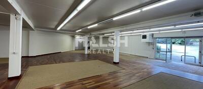 MALSH Realty & Property - Local commercial - Lyon Nord Ouest (Techlid / Monts d'Or) - Champagne-au-Mont-d'Or - 4