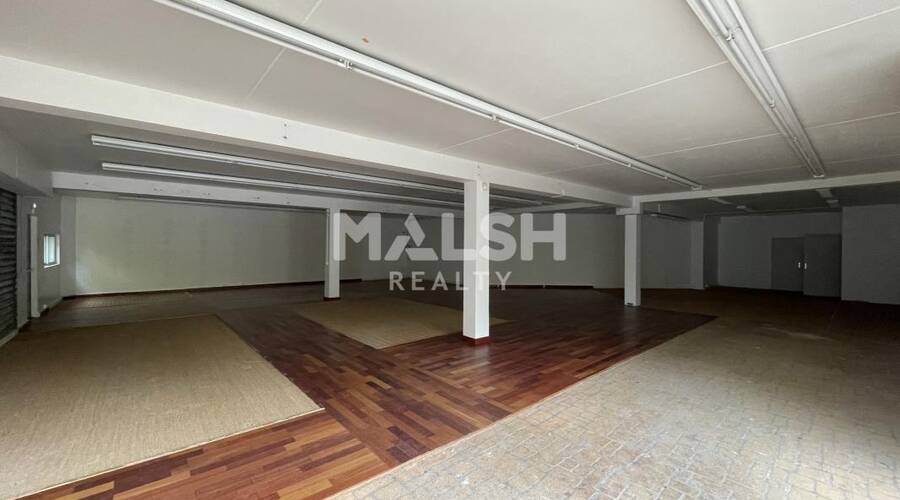 MALSH Realty & Property - Local commercial - Lyon Nord Ouest (Techlid / Monts d'Or) - Champagne-au-Mont-d'Or - 5