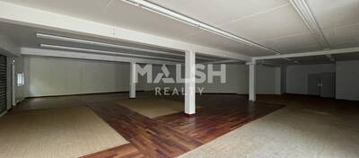 MALSH Realty & Property - Local commercial - Lyon Nord Ouest (Techlid / Monts d'Or) - Champagne-au-Mont-d'Or - 5