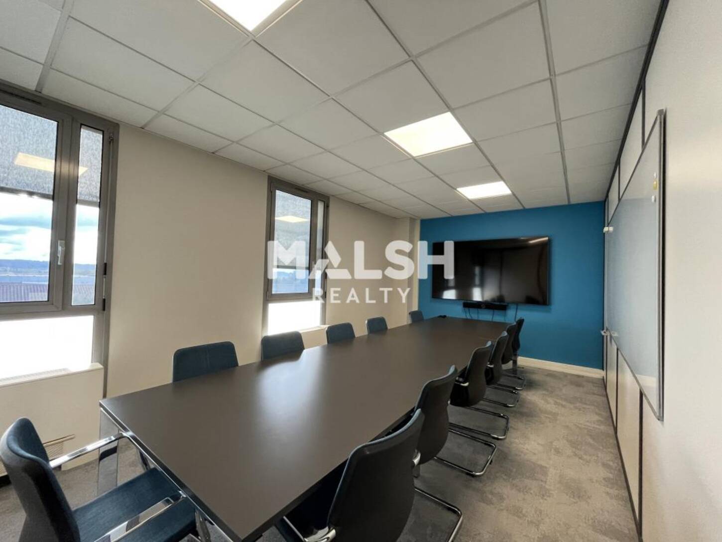 MALSH Realty & Property - Bureau - Extérieurs NORD (Villefranche / Belleville) - Limas - 2