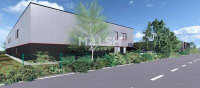 MALSH Realty & Property - Local d'activités - Extérieurs NORD (Villefranche / Belleville) - Savigneux - 4