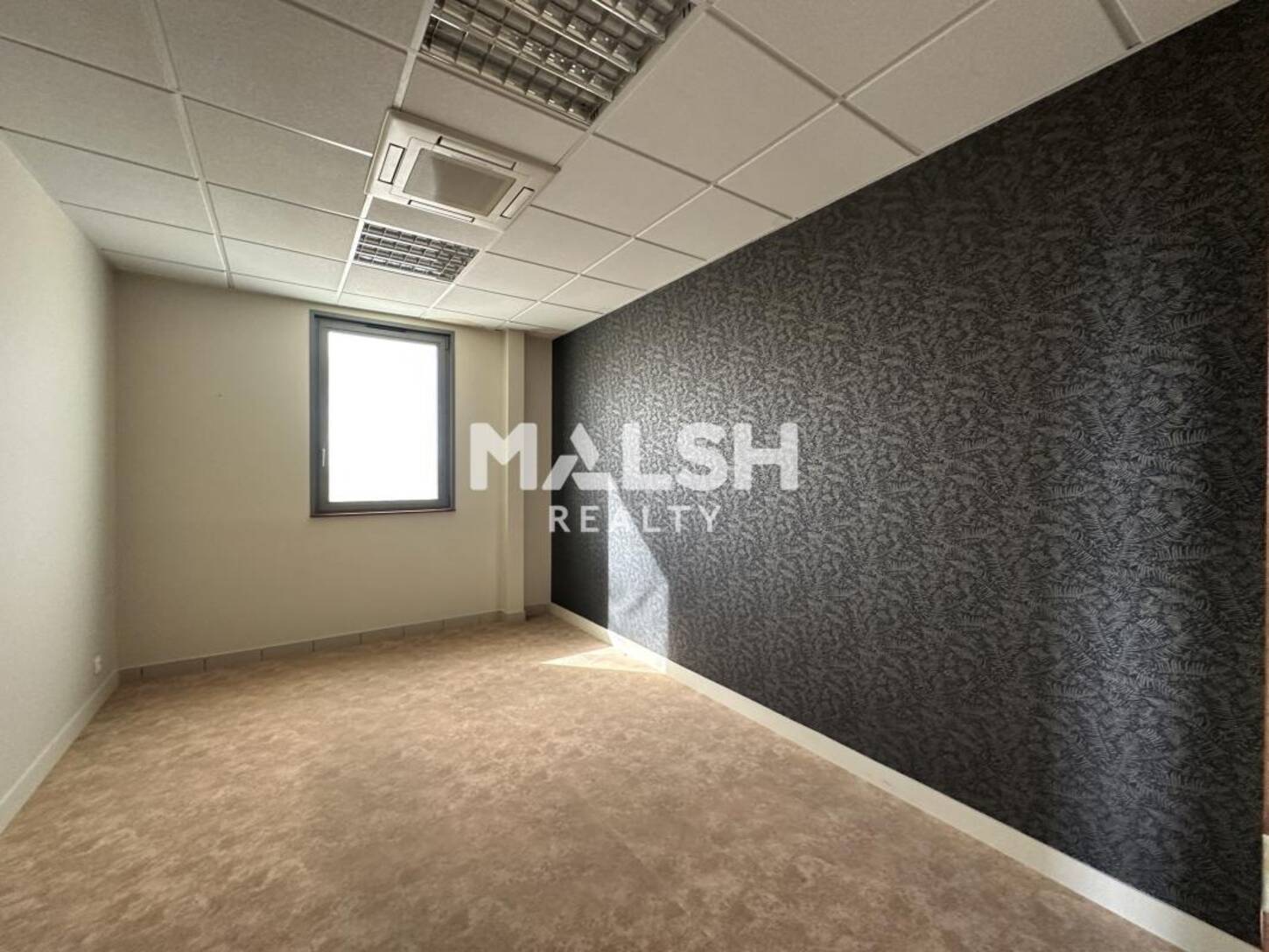 MALSH Realty & Property - Bureau - Extérieurs NORD (Villefranche / Belleville) - Arnas - 2
