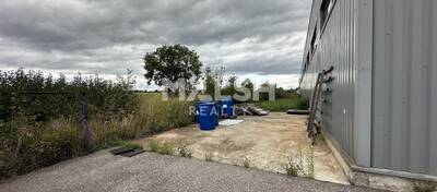MALSH Realty & Property - Local d'activités - Extérieurs NORD (Villefranche / Belleville) - Saint-André-de-Corcy - 12