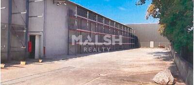 MALSH Realty & Property - Local d'activités - Lyon EST (St Priest /Mi Plaine/ A43 / Eurexpo) - Chassieu - 1