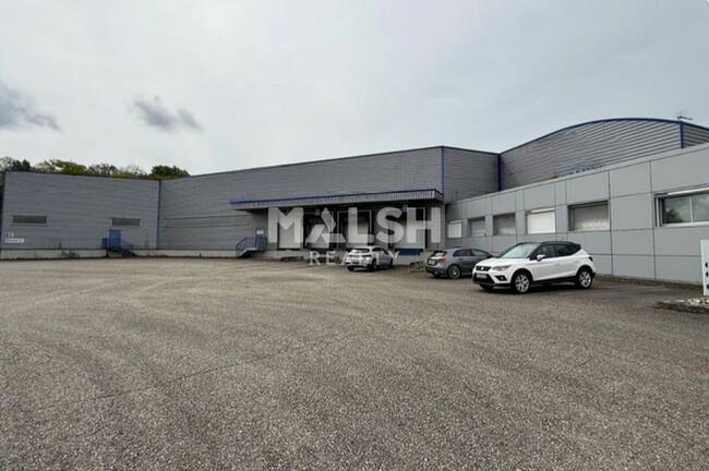 MALSH Realty & Property - Local d'activités - Nord Isère ( Ile d'Abeau / St Quentin Falavier ) - Four - 1