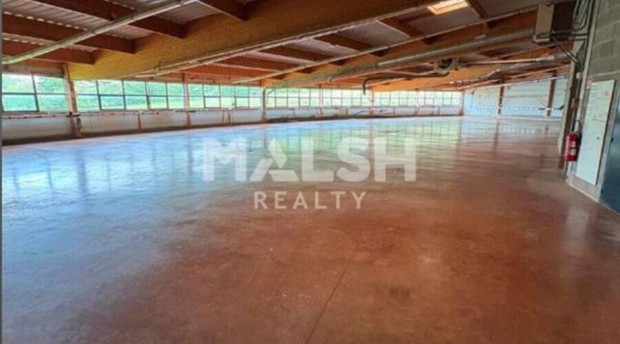 MALSH Realty & Property - Local d'activités - Extérieurs NORD (Villefranche / Belleville) - Ceyzériat - 2