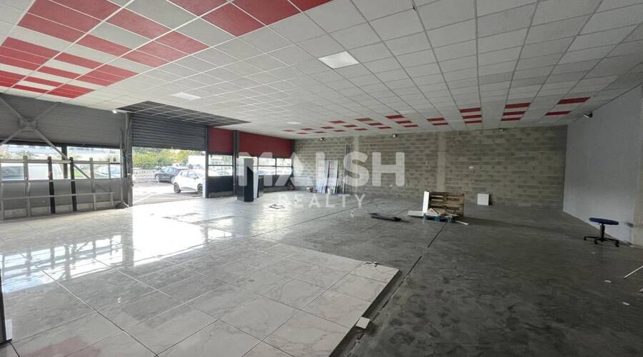 MALSH Realty & Property - Local d'activités - Carré de Soie / Grand Clément / Bel Air - Vaulx-en-Velin - 2