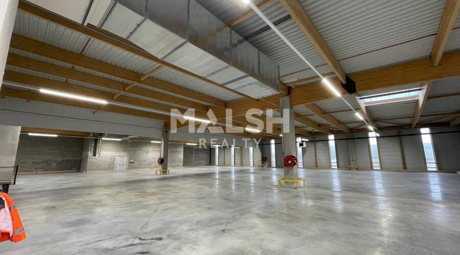 MALSH Realty & Property - Local d'activités - Lyon 7° / Gerland - Lyon 7 - 3