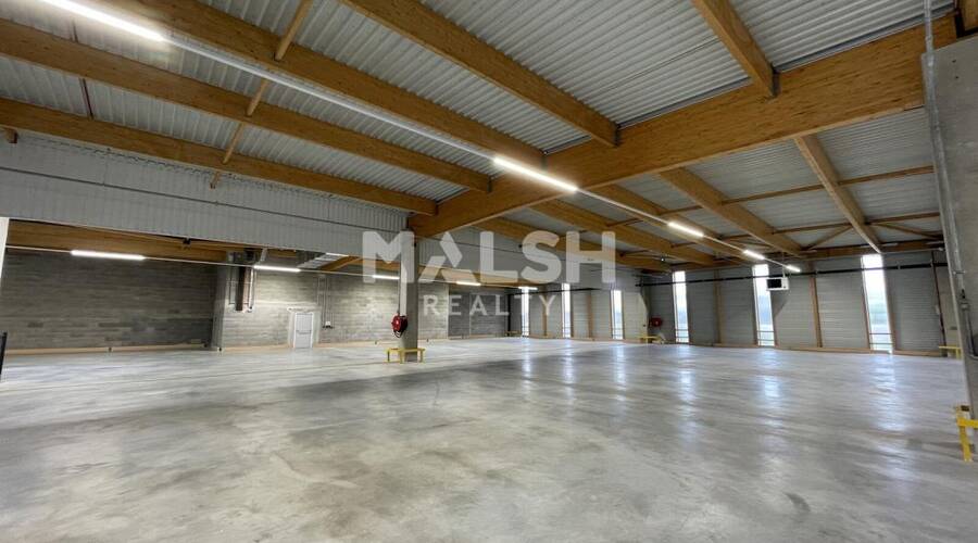 MALSH Realty & Property - Local d'activités - Lyon 7° / Gerland - Lyon 7 - 4