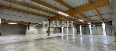MALSH Realty & Property - Local d'activités - Lyon 7° / Gerland - Lyon 7 - 4
