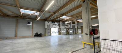 MALSH Realty & Property - Local d'activités - Lyon 7° / Gerland - Lyon 7 - 5