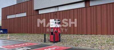 MALSH Realty & Property - Local d'activités - Lyon 7° / Gerland - Lyon 7 - 7