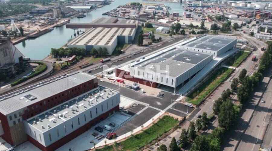 MALSH Realty & Property - Local d'activités - Lyon 7° / Gerland - Lyon 7 - 9