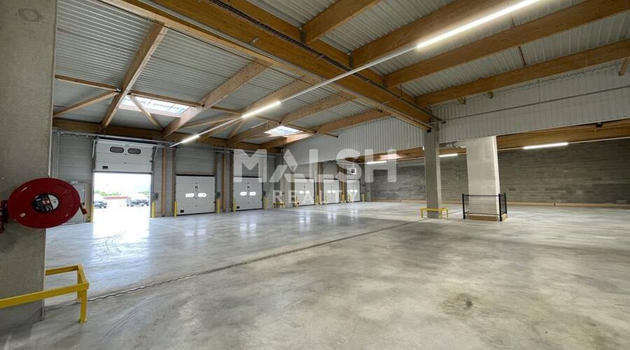 MALSH Realty & Property - Local d'activités - Lyon 7° / Gerland - Lyon 7 - 2