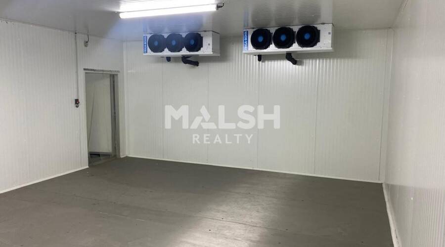 MALSH Realty & Property - Local d'activités - Lyon EST (St Priest /Mi Plaine/ A43 / Eurexpo) - Saint-Priest - 3