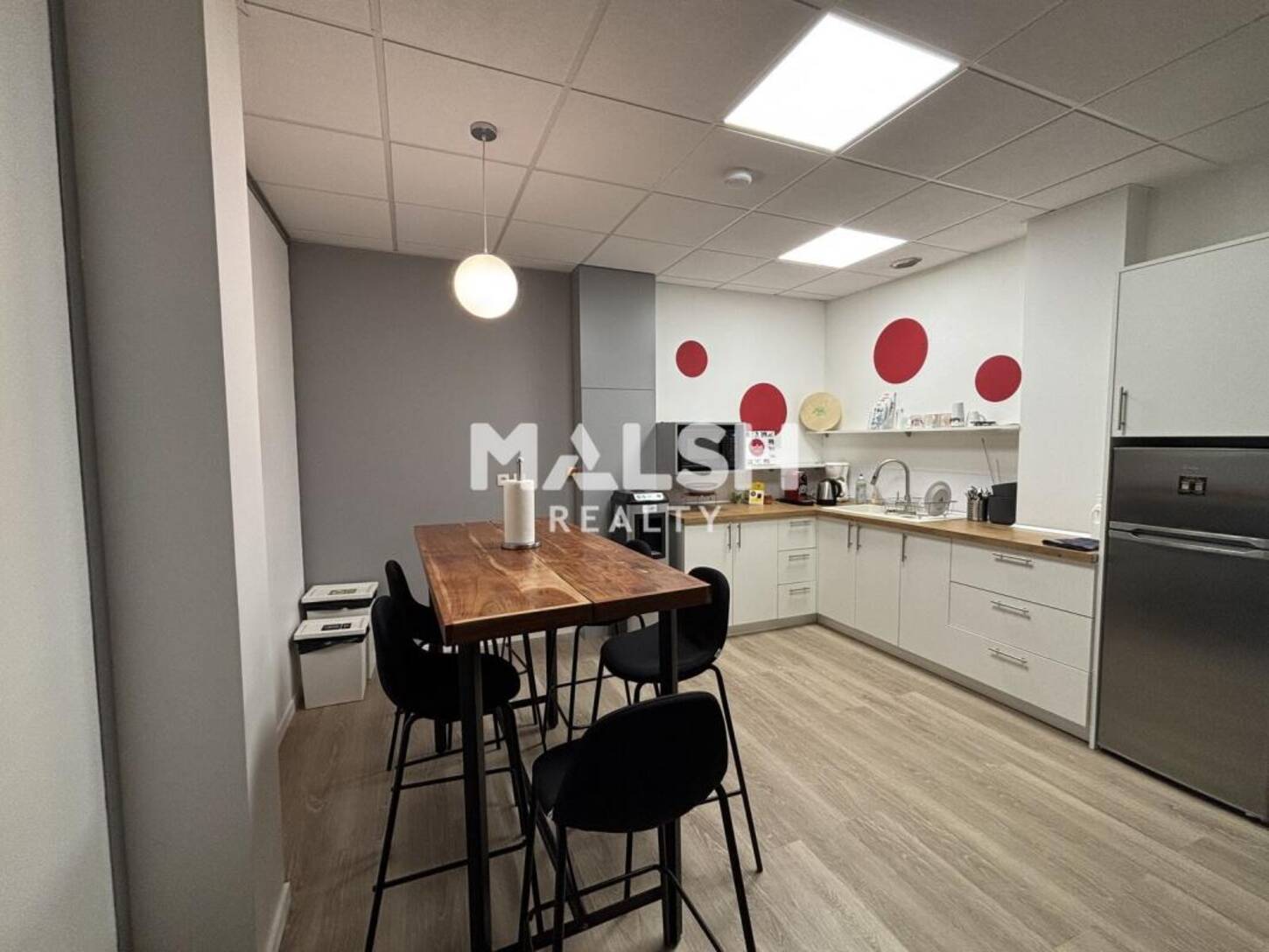 MALSH Realty & Property - Bureau - Lyon Nord Ouest (Techlid / Monts d'Or) - Limonest - 2