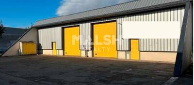 MALSH Realty & Property - Local d'activités - Carré de Soie / Grand Clément / Bel Air - Vaulx-en-Velin - 1