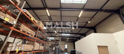 MALSH Realty & Property - Local d'activités - Lyon Nord Est (Rhône Amont) - Meyzieu - 7