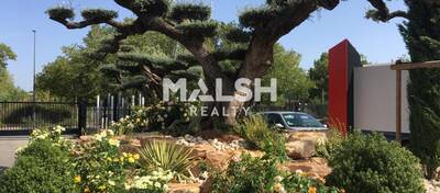 MALSH Realty & Property - Bureau - Lyon EST (St Priest /Mi Plaine/ A43 / Eurexpo) - Saint-Priest - 5