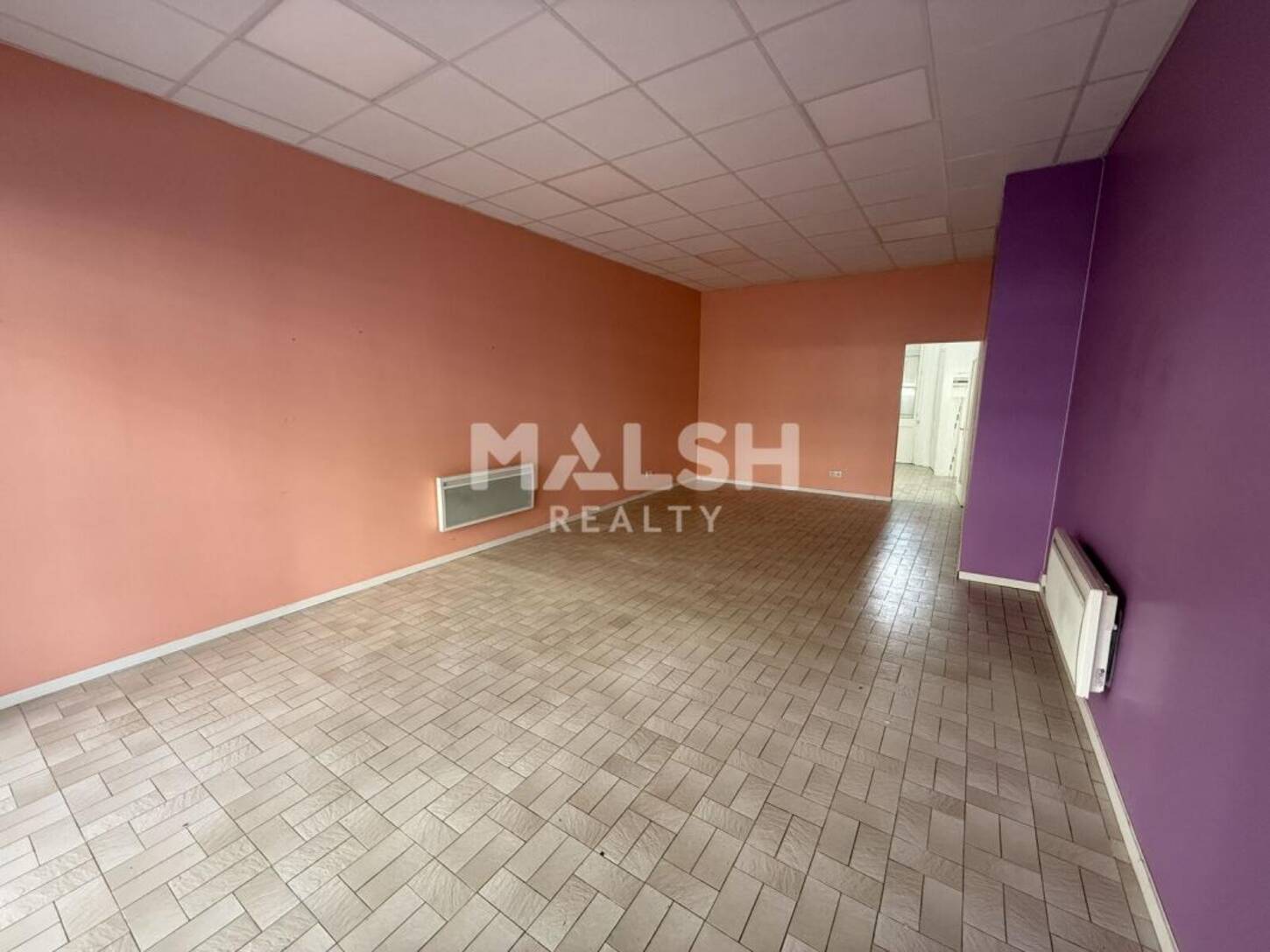 MALSH Realty & Property - Local commercial - Saint Etienne - Saint-Étienne - 2