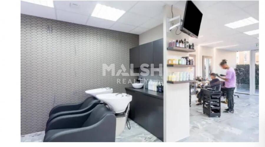 MALSH Realty & Property - Local commercial - Nord Isère ( Ile d'Abeau / St Quentin Falavier ) - Frontonas - 4