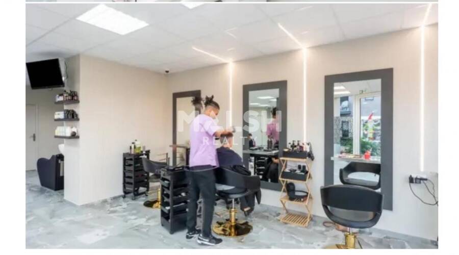 MALSH Realty & Property - Local commercial - Nord Isère ( Ile d'Abeau / St Quentin Falavier ) - Frontonas - 2