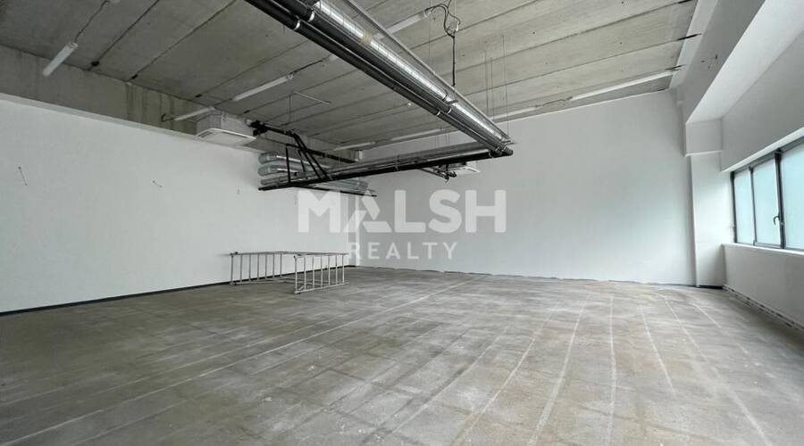 MALSH Realty & Property - Local d'activités - Lyon Nord Ouest (Techlid / Monts d'Or) - Champagne-au-Mont-d'Or - 2