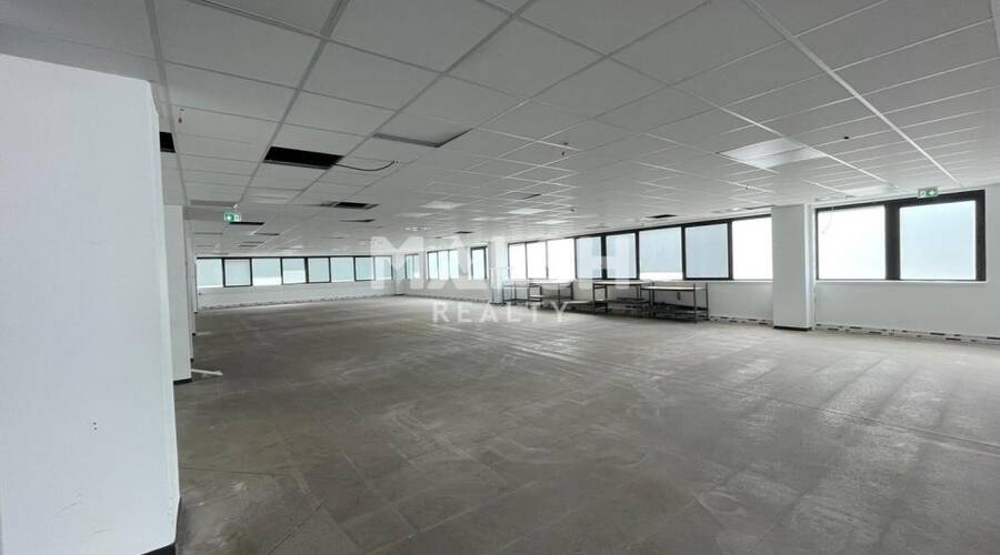 MALSH Realty & Property - Local d'activités - Lyon Nord Ouest (Techlid / Monts d'Or) - Champagne-au-Mont-d'Or - 3