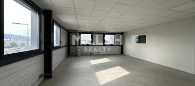 MALSH Realty & Property - Local d'activités - Plateau Nord / Val de Saône - Genay - 5