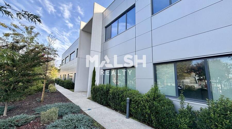 MALSH Realty & Property - Bureau - Lyon 7° / Gerland - Lyon 7 - 2