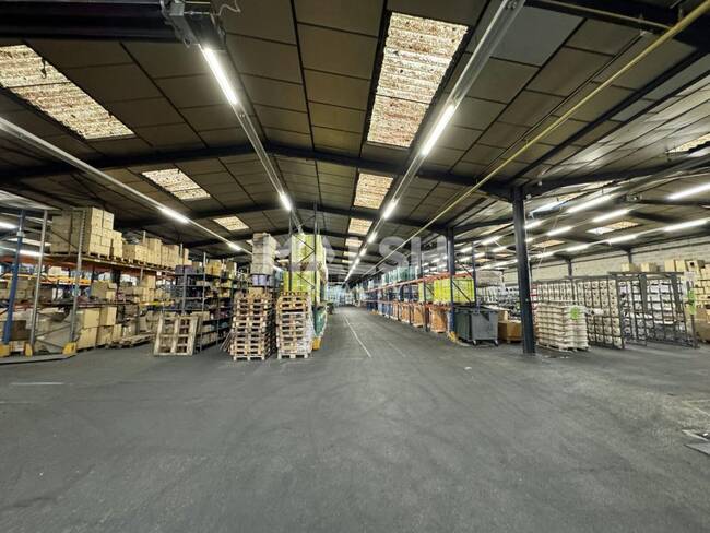 MALSH Realty & Property - Local d'activités - Saint-Etienne Métropole - Saint-Chamond - 1