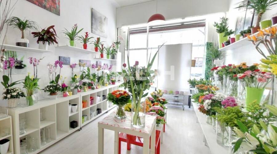 MALSH Realty & Property - Local commercial - Lyon 7° / Gerland - Lyon 7 - 2