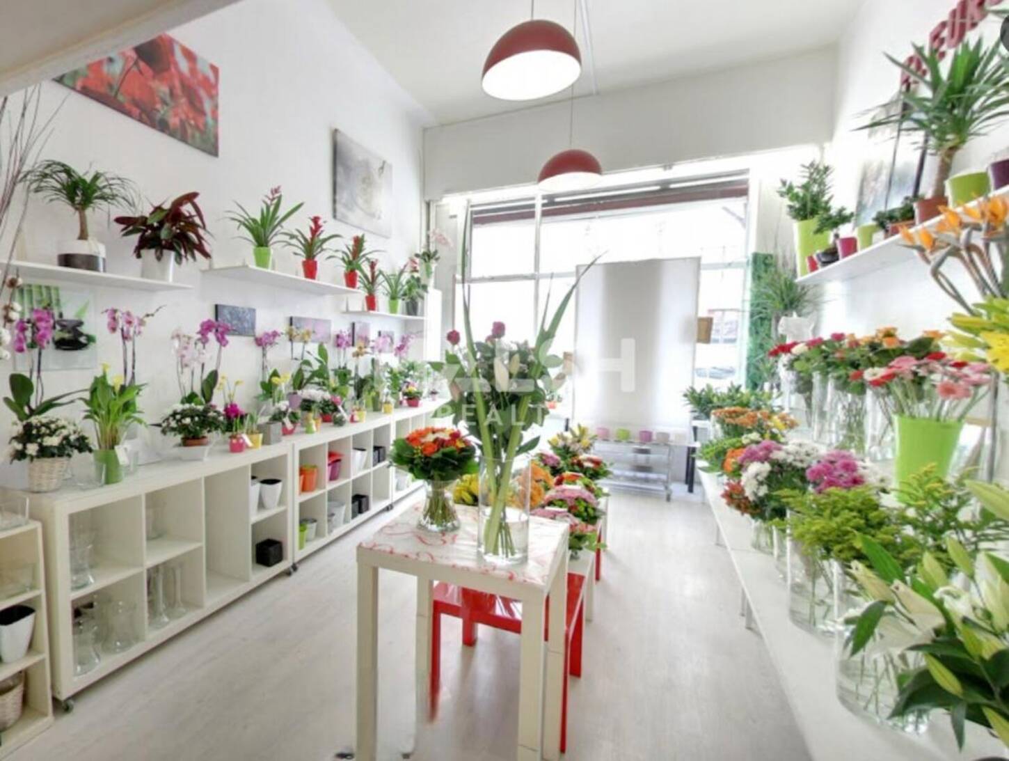 MALSH Realty & Property - Local commercial - Lyon 7° / Gerland - Lyon 7 - 2