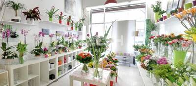 MALSH Realty & Property - Local commercial - Lyon 7° / Gerland - Lyon 7 - 2