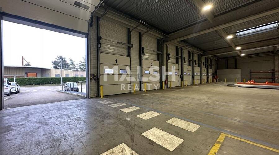 MALSH Realty & Property - Local d'activités - Lyon Sud Est - Corbas - 3