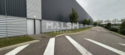 MALSH Realty & Property - Local d'activités - Lyon Sud Est - Corbas - 16
