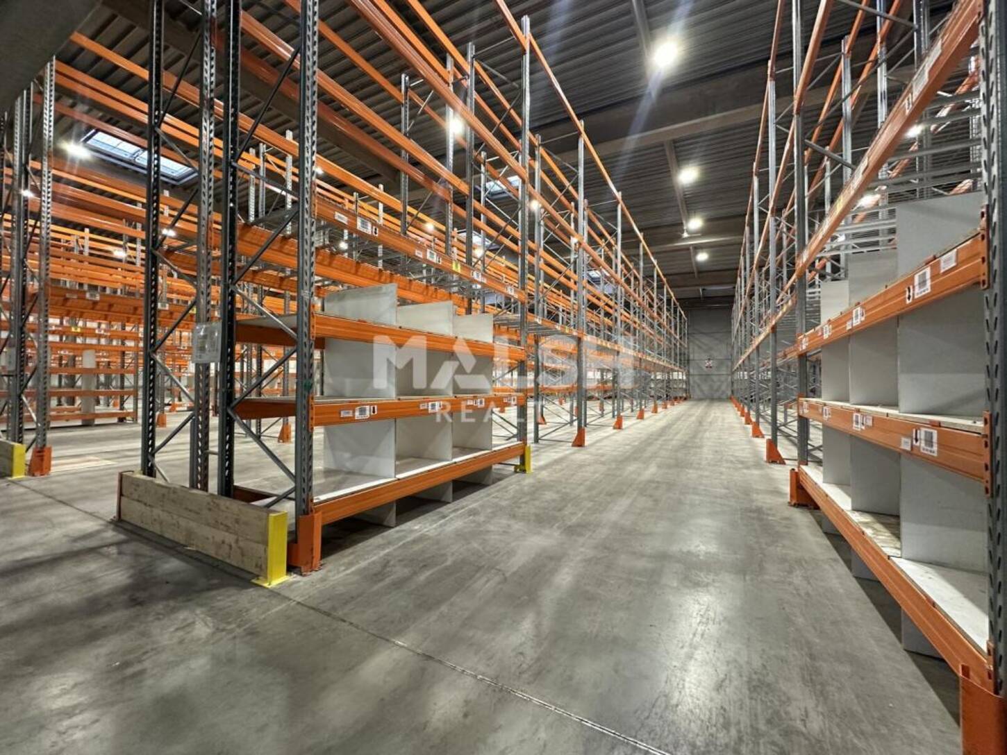 MALSH Realty & Property - Local d'activités - Lyon Sud Est - Corbas - 2