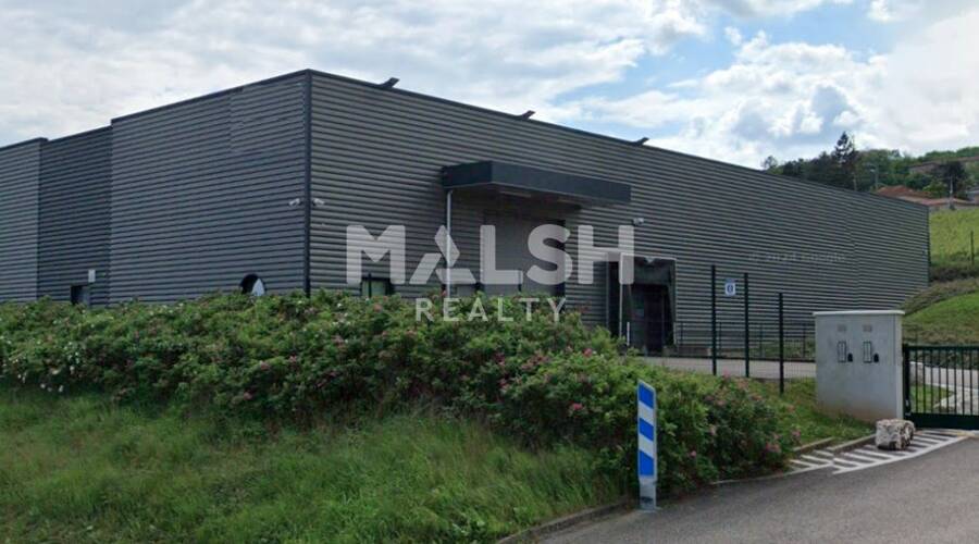 MALSH Realty & Property - Local d'activités - Extérieurs NORD (Villefranche / Belleville) - Pommiers - 9