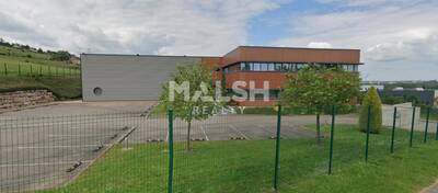 MALSH Realty & Property - Local d'activités - Extérieurs NORD (Villefranche / Belleville) - Pommiers - 7