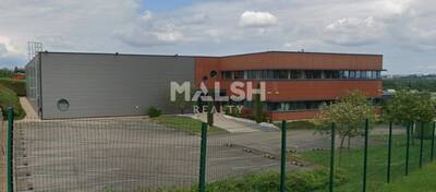MALSH Realty & Property - Local d'activités - Extérieurs NORD (Villefranche / Belleville) - Pommiers - 8